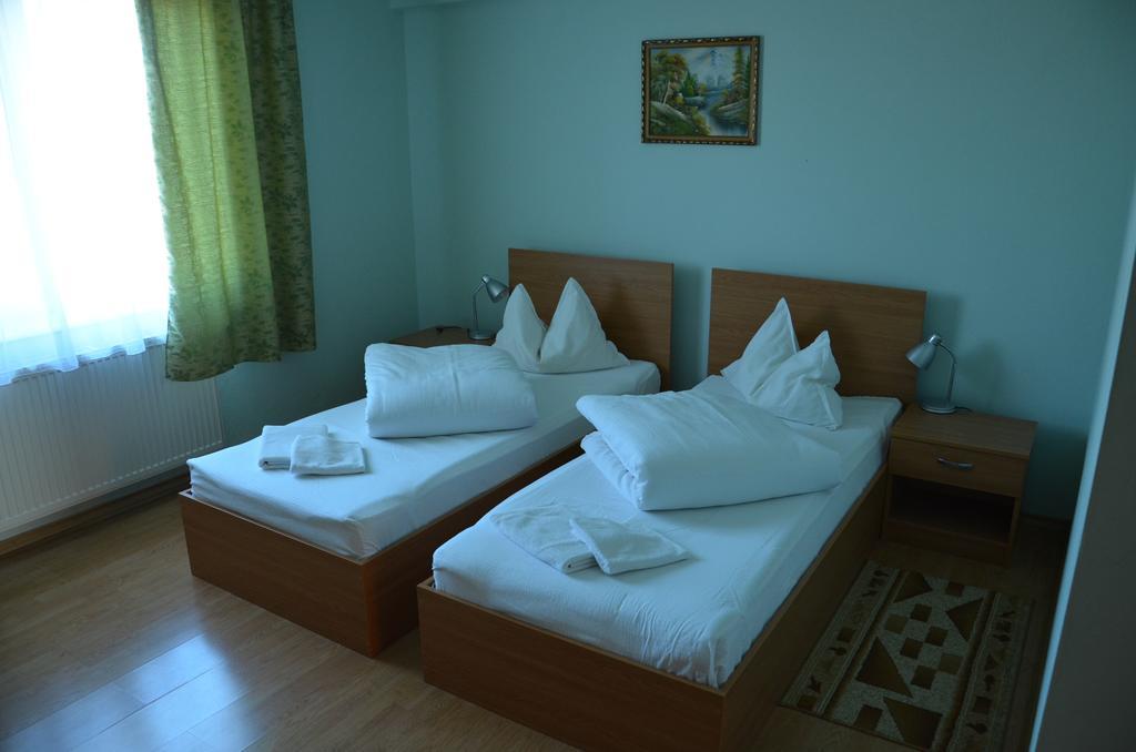Pensiunea Casa Verde Vladimirescu エクステリア 写真