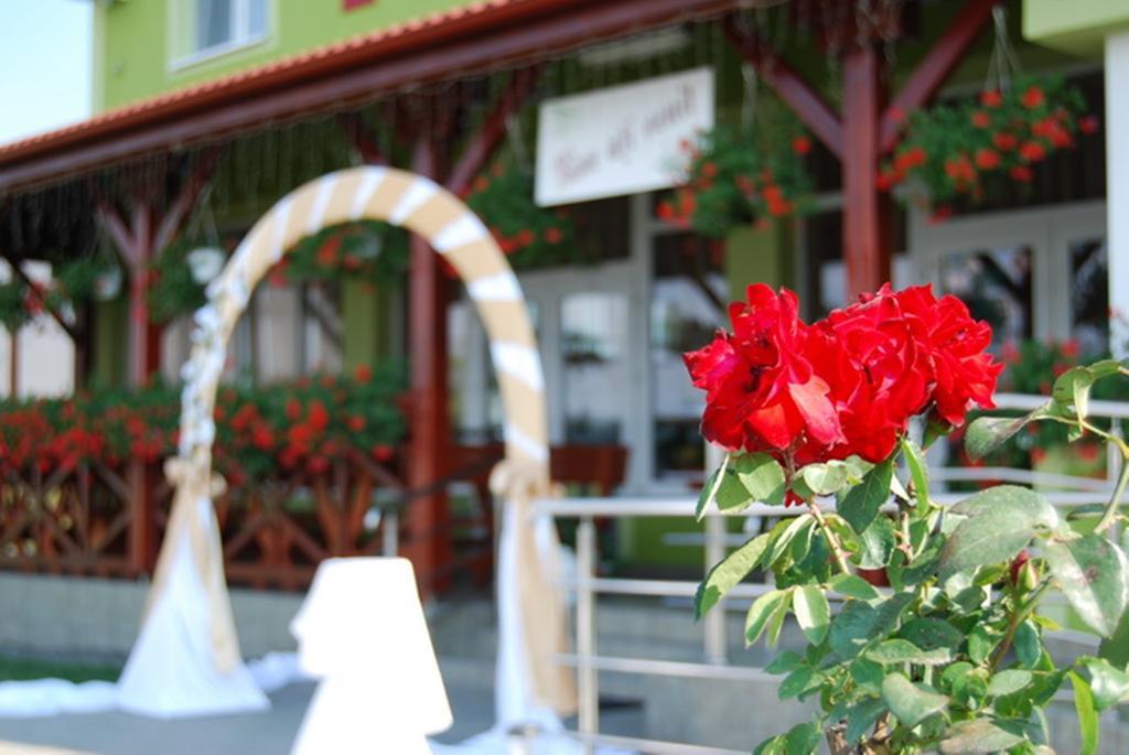 Pensiunea Casa Verde Vladimirescu エクステリア 写真